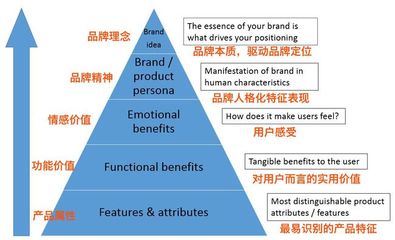 "品牌金字塔"怎么造?来自欧洲工商管理学院的行动指南